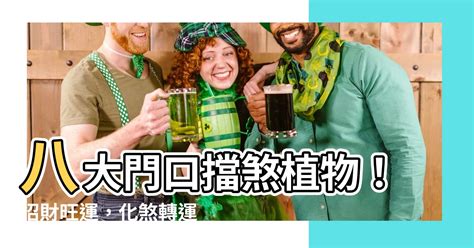 門口擋煞|大門口適合放什麼盆栽？4種擋煞化煞植物，擺對位置。